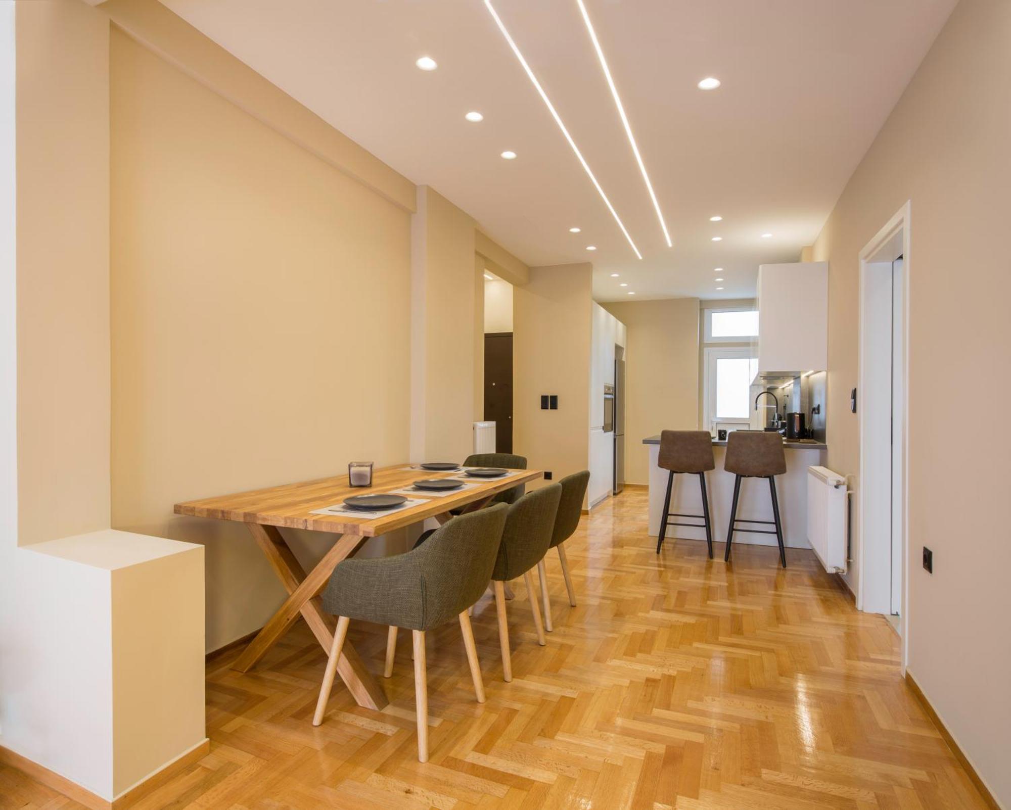 Urban Spacious Apartment Near Kallimarmaron Афіни Екстер'єр фото