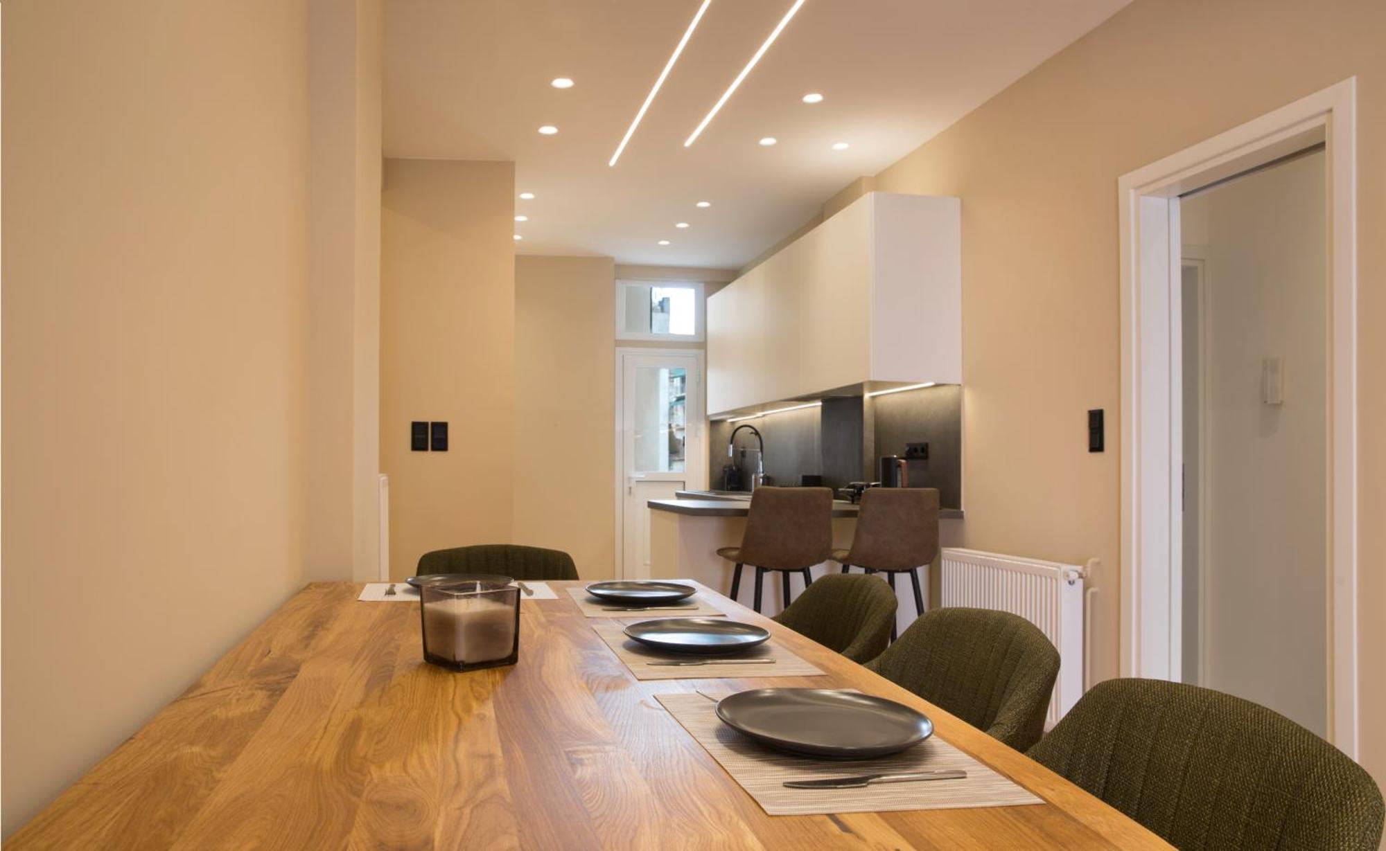 Urban Spacious Apartment Near Kallimarmaron Афіни Екстер'єр фото