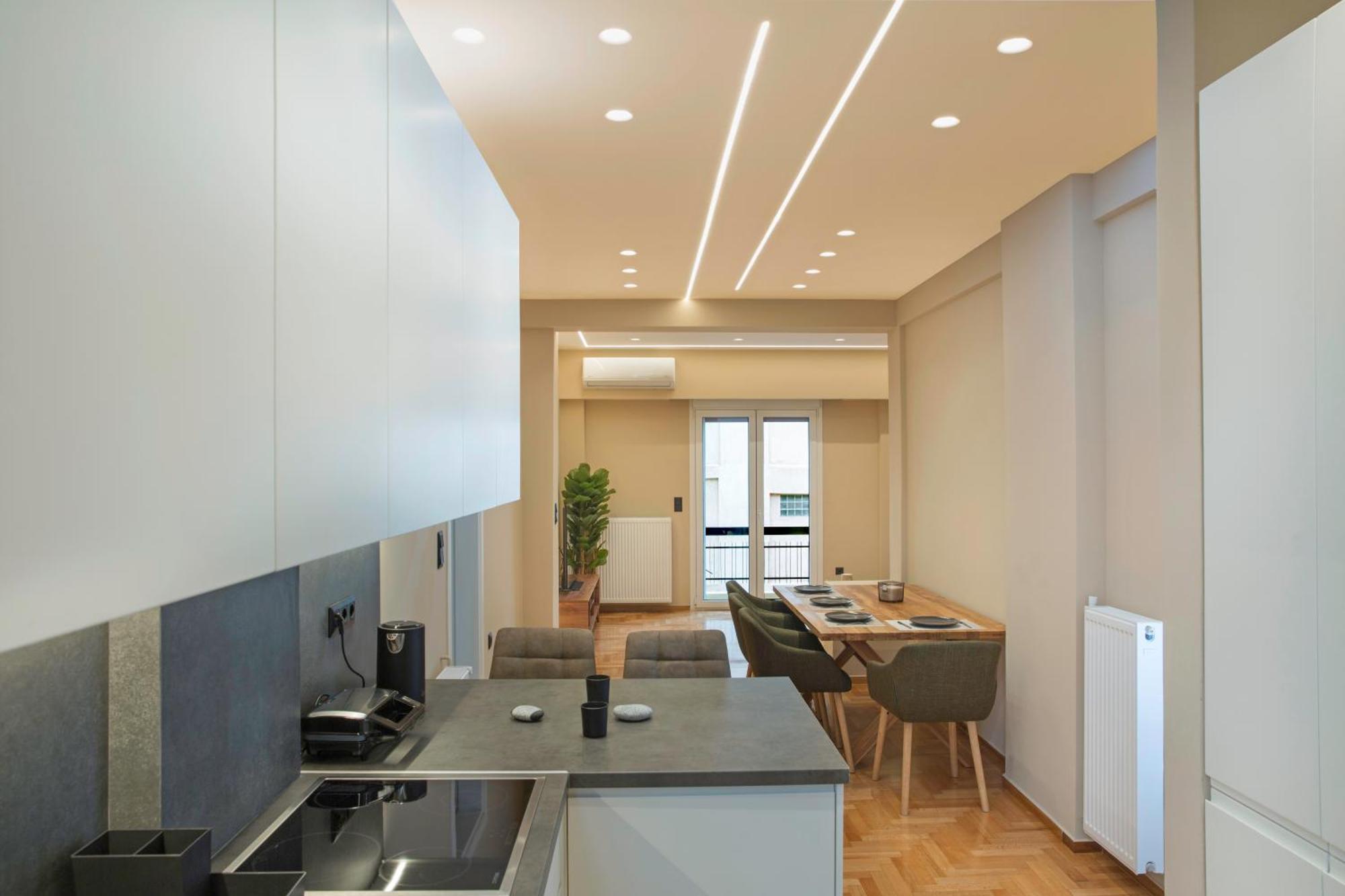 Urban Spacious Apartment Near Kallimarmaron Афіни Екстер'єр фото